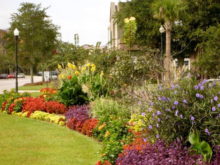 1462857 629455853847840 380106362285652530 n 768x576