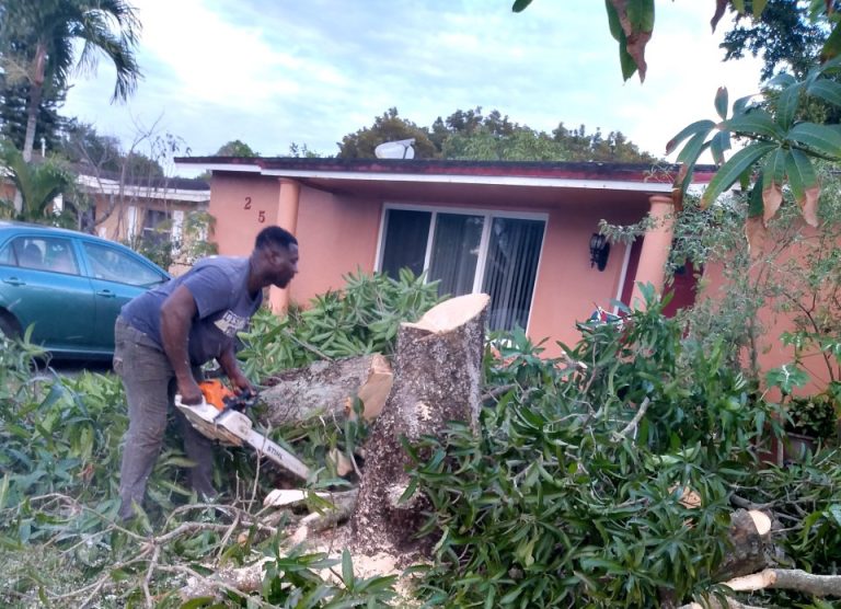 2020 06 24 1 768x556