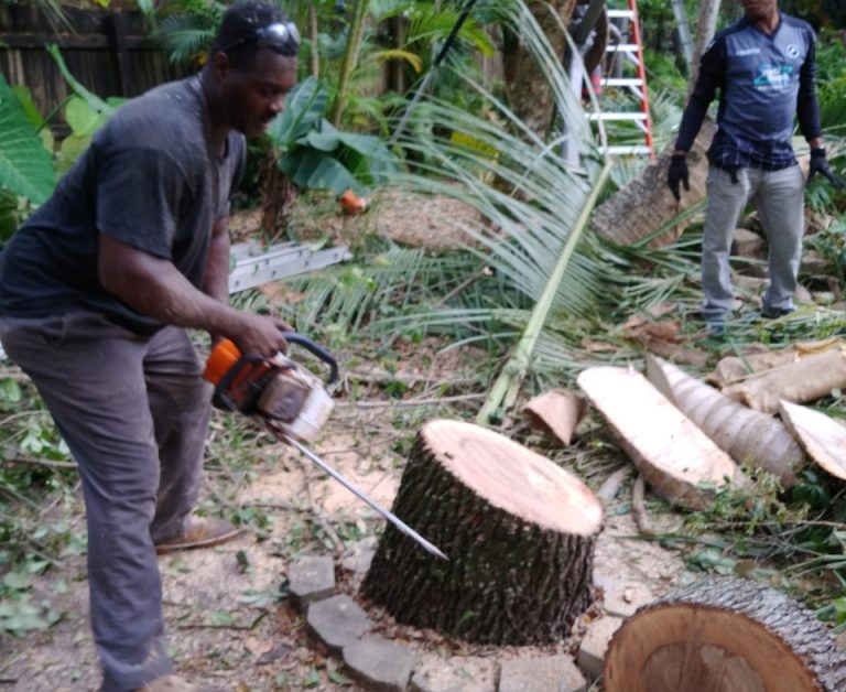 2020 06 24 2 768x628