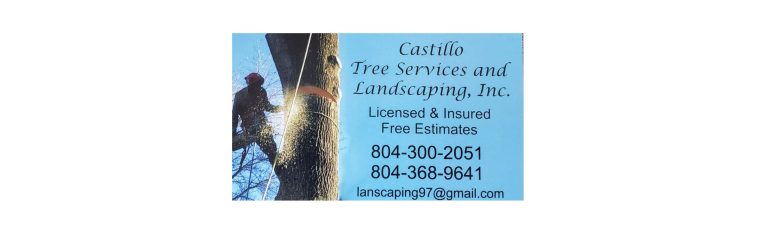 299812585 479488834186977 89656574202692216 n 1 768x234