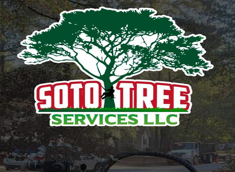 328460379 641011678029643 8787572677983554503 n