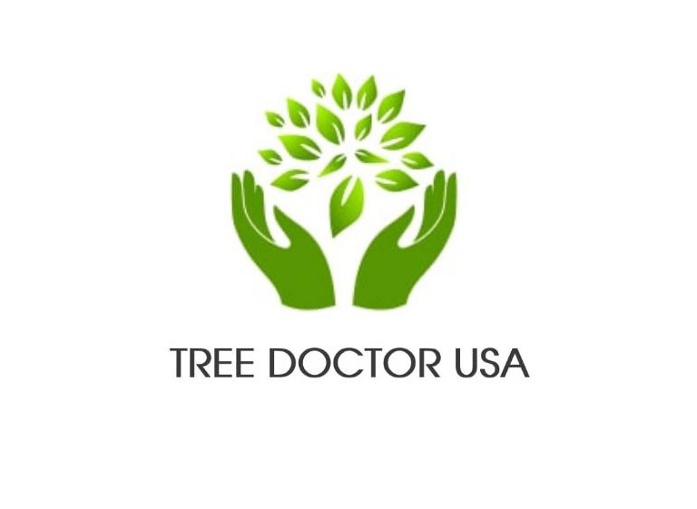 329360601 714477553651053 5382464997052055260 n