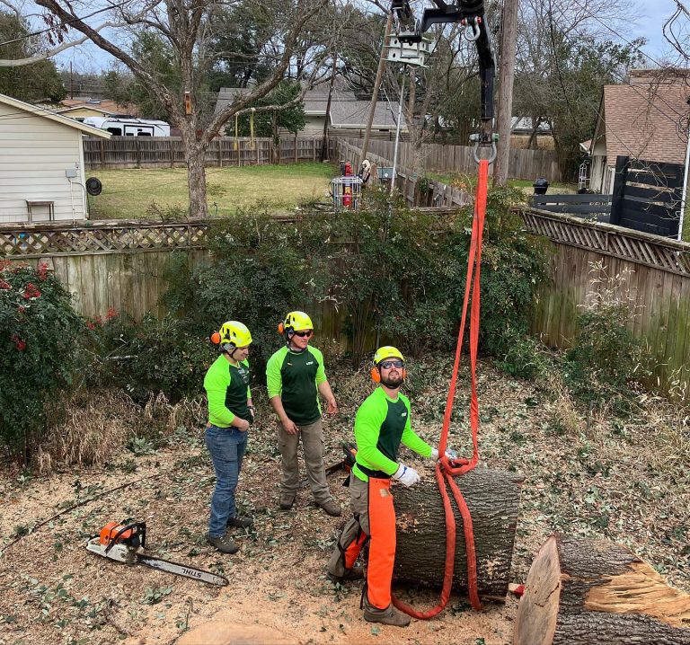 333627894 1231113101135576 7968481118772870584 n 768x718