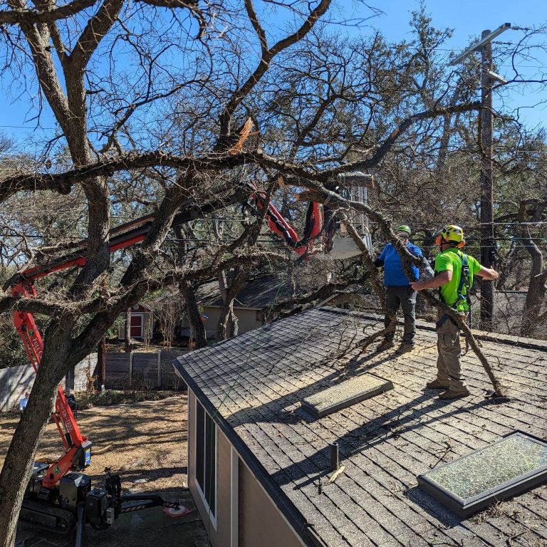 334128665 571230838075481 3844966944840630073 n 768x768