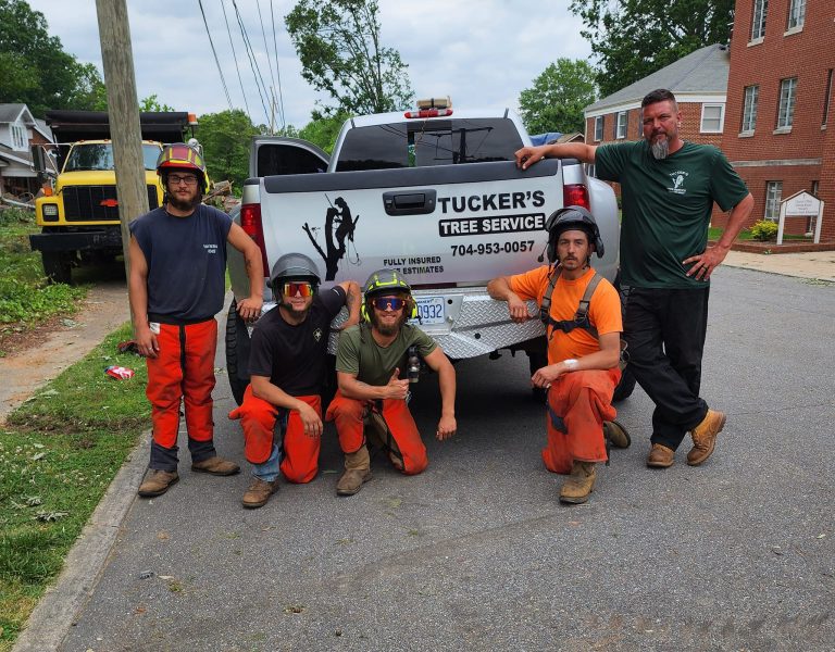 345936543 265119695992180 5243558310693912718 n 768x600