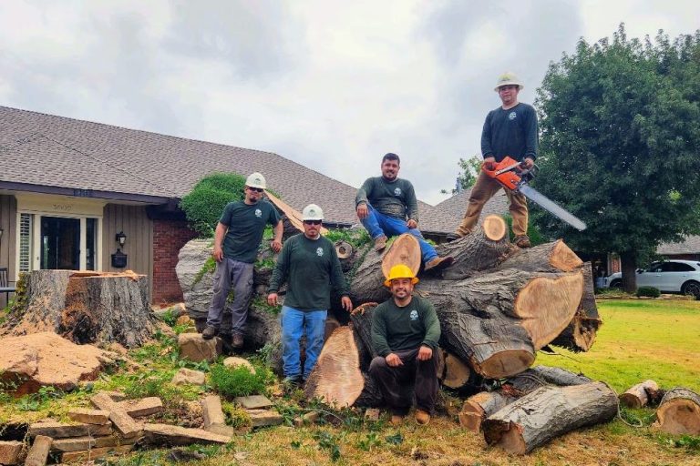 382215463 1031146728271681 2011462639172863962 n 768x512