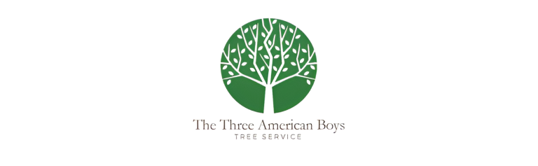 3boys logo1 768x237