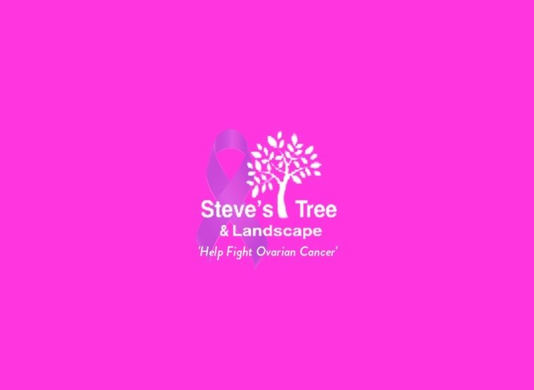 4 Steves Tree and Landscape Service 1