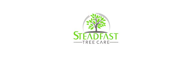 5c4e90ed 1499 4cc6 936c db7383a180f7 768x230