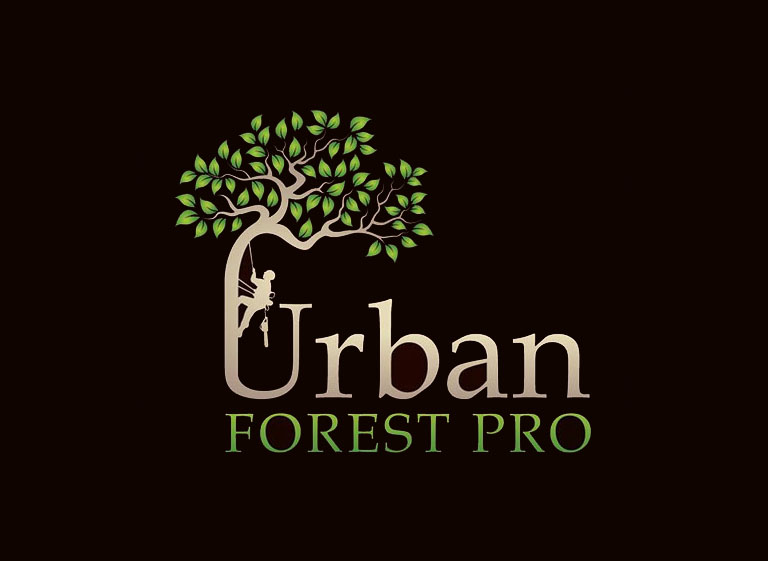 8145a301 1be5 4d5f bb64 de4b3ada4941