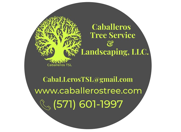 853f5164 a210 4c4c b901 3ec2db18bc32