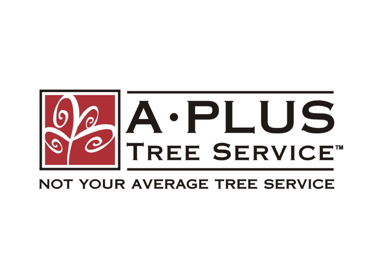A Plus Tree LLC 1 1