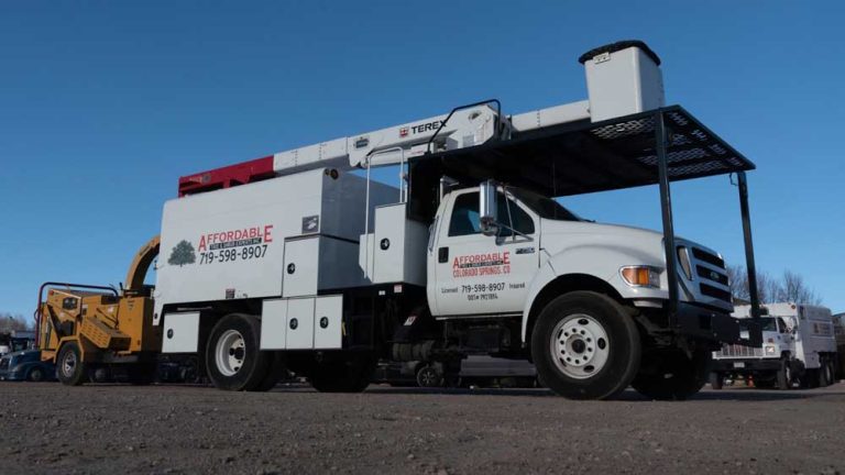 Affordable Tree and Shrub Experts 1 768x432