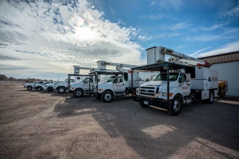 Affordable Tree and Shrub Experts 768x513