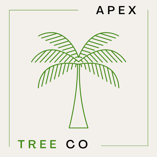 Apex Tree
