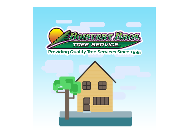 Boisvert Brothers logo