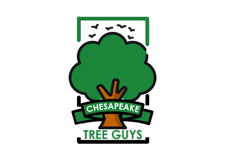 Chesapeake Tree Guys 1