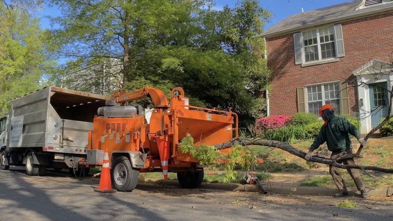 Chip Truck and Chipper 3 768x433