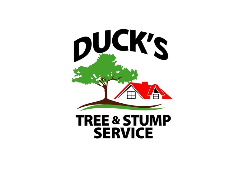 Ducks Tree Stump Service logo