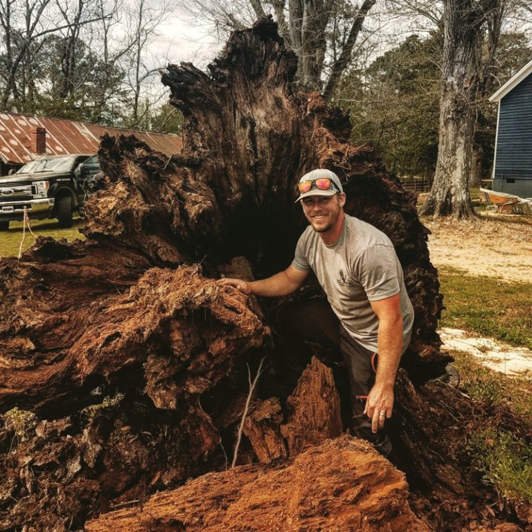 Elite Tree Care 2 768x768