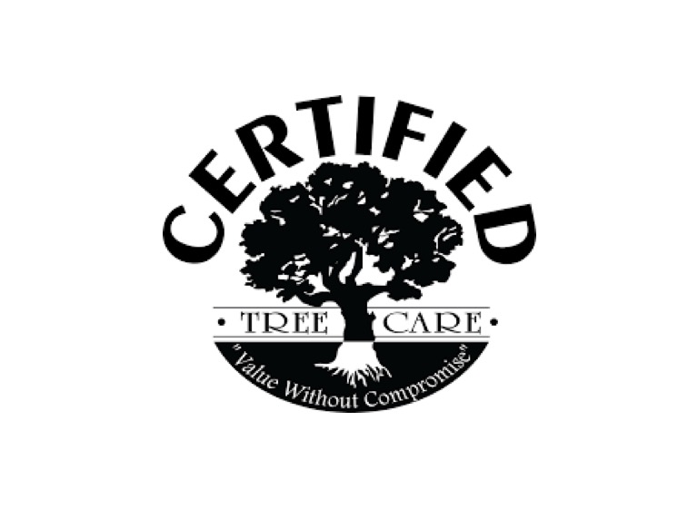 Fort Worth Tree Service 3 1