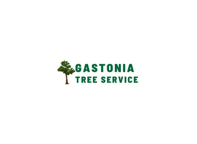 Gastonia Tree Service 1 1
