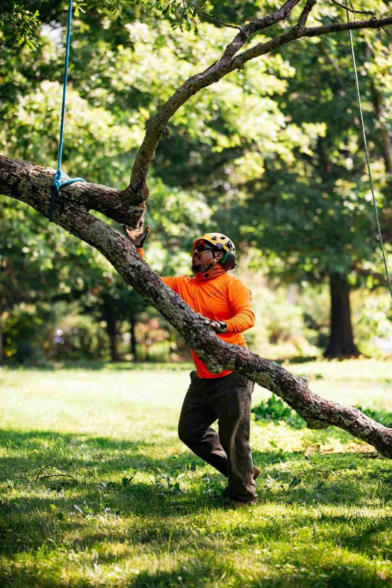 H19A9596 92 11zon 768x1152