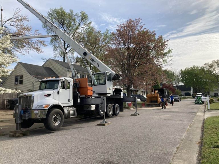 IMG 6878 scaled 2 768x576