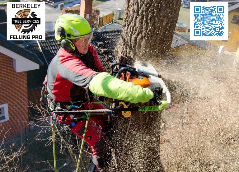 Martinsburg Felling Pro Tree service Falling Waters West Virginia 768x553