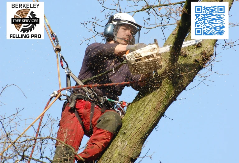 Martinsburg Felling Pro Tree service Gerrardstown West Virginia 768x525