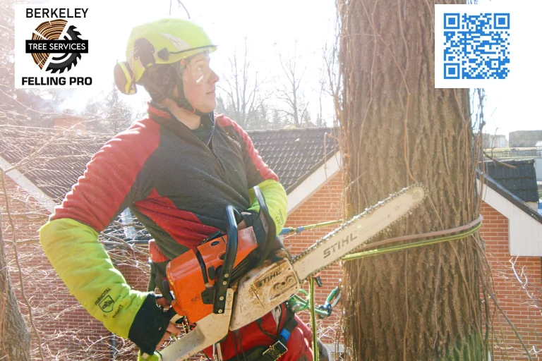 Martinsburg Felling Pro Tree service Hedgesville West Virginia 768x512