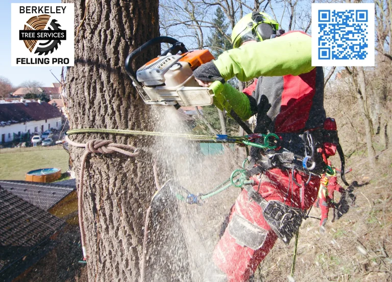 Martinsburg Felling Pro Tree service Inwood West Virginia 768x552