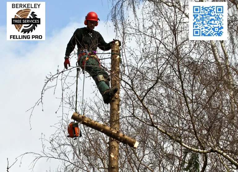 Martinsburg Felling Pro Tree service Martinsburg West Virginia 768x556