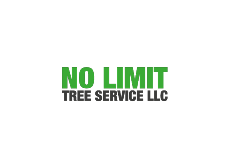 No Limitt Tree Service 1 1
