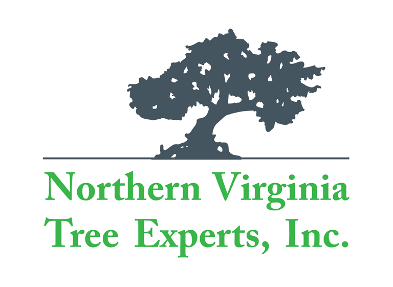 Northern Virginia Tree Experts Inc 1 1