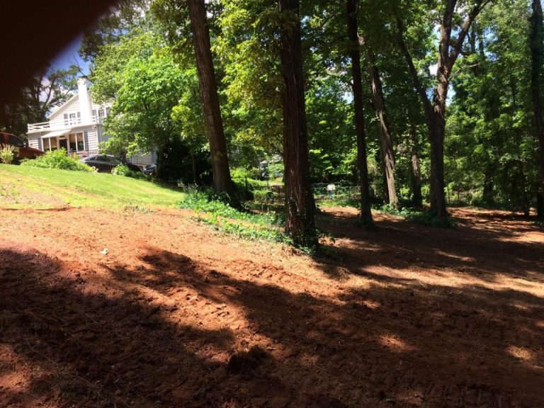 OnSite Stump Tree 2 768x576