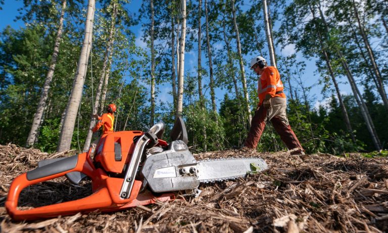 OnSite Stump Tree 3 768x461