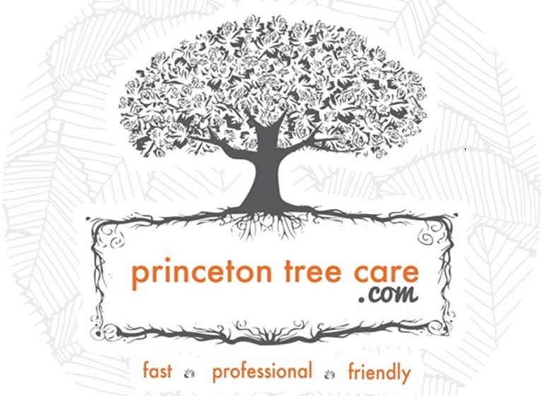 Princeton Tree Care Logo