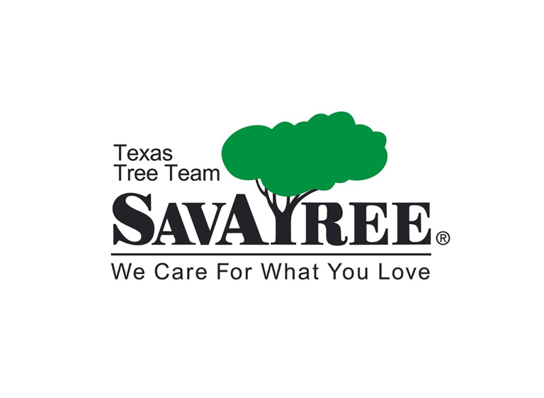 Savatree Logo