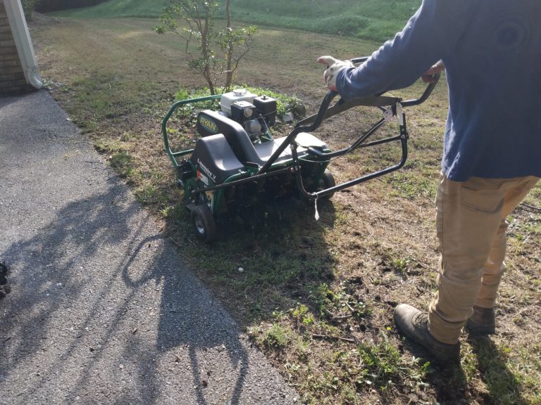 Tino Landscaping 2 768x576