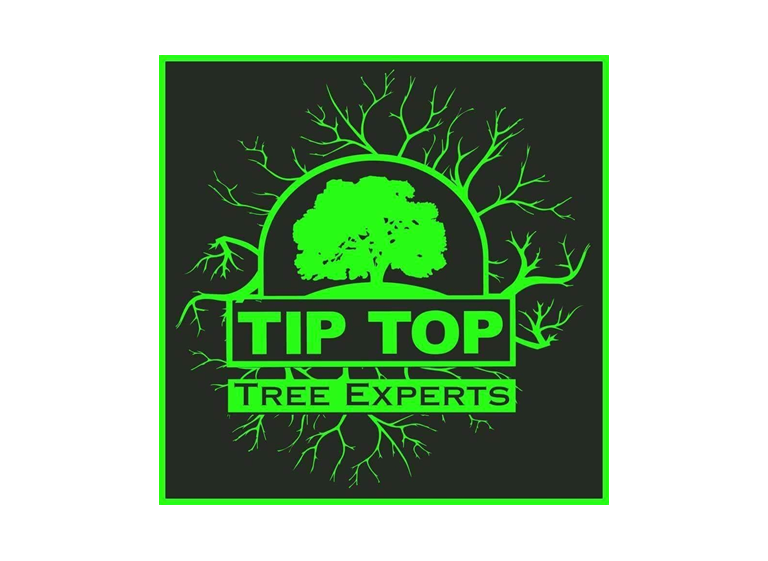 Tip Top Tree Experts LLC 1 1