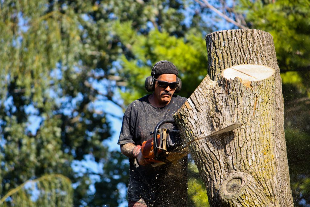 Need Need Tree Removal Near Me?