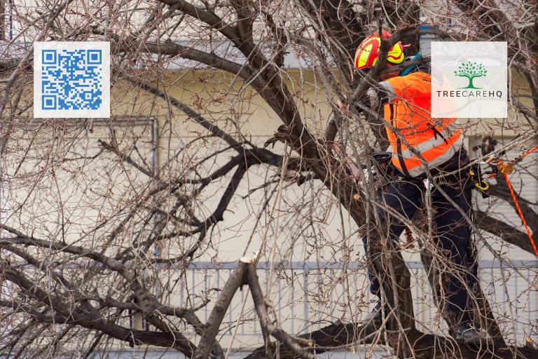 TreeCareHQ Martinsburg Arborist Consulting 3 768x512