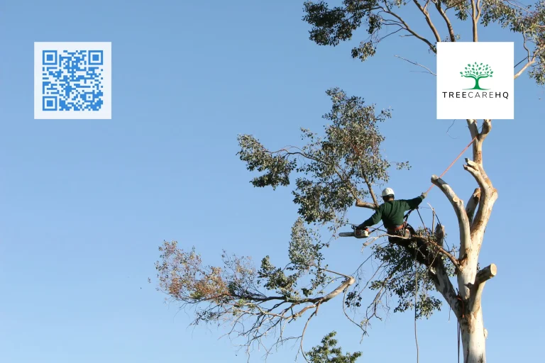 TreeCareHQ Martinsburg Removal 1 768x512