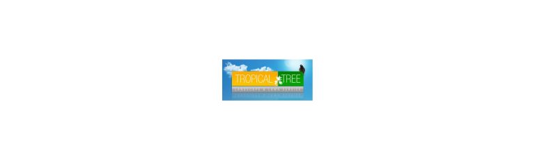 Tropical Tree 768x230