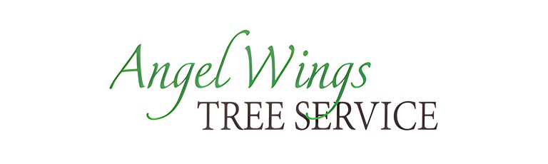 Untitled 1 2 768x230