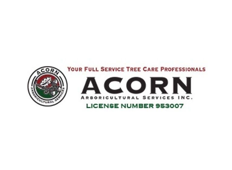 acorn arboricultural services inc logo