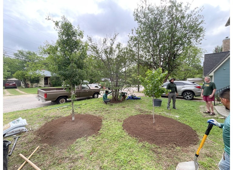 adams apple tree service 3