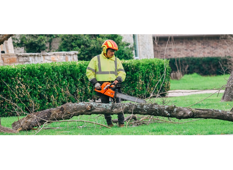 adams apple tree service 4