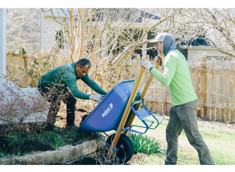 adams apple tree service 5